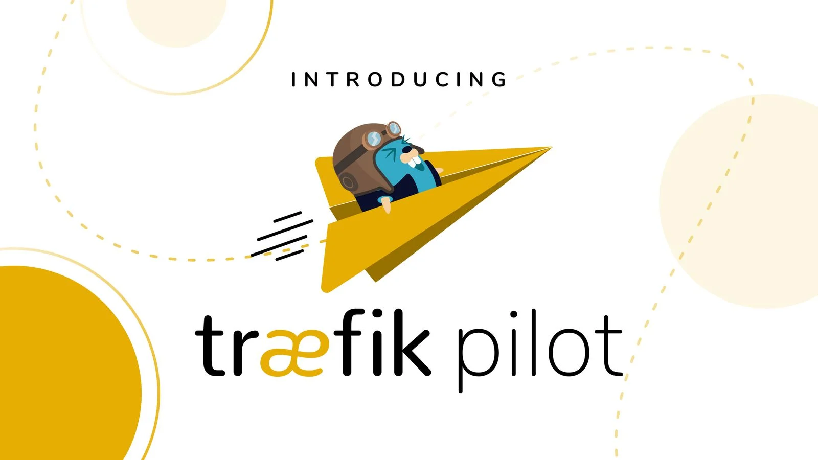 Traefik 2.3 : Towards plugins and beyond!