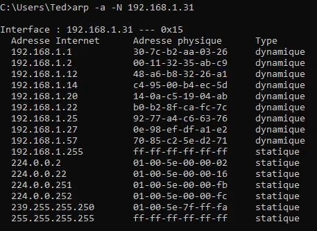 Table ARP affichée dans la console depuis un ordinateur Windows