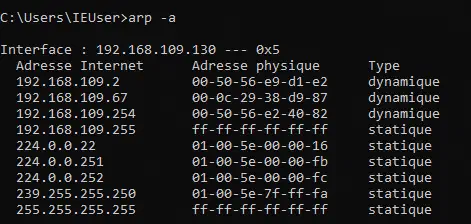 Une capture d’écran de la console windows indiquant le contenu de la table ARP